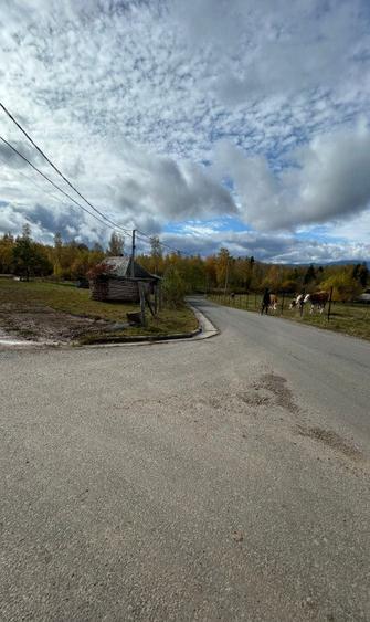 Teren intravilan 3.953 mp Ra?ca, Cluj - 6