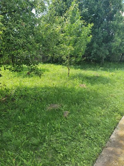 Proprietar vand casa in sat Buicesti, comuna Butoiesti, jud. Mehedinti - 8