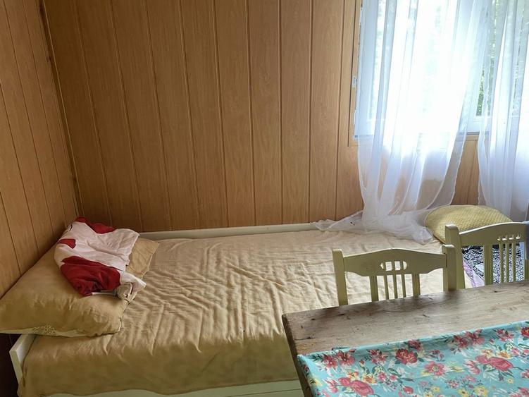 Telega, sat Bustenari, PH - teren si casa de vanzare - 1