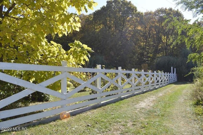 Topoloveni - Conacul Ion Mihalache, Domeniu pe 5 Hectare! - 4