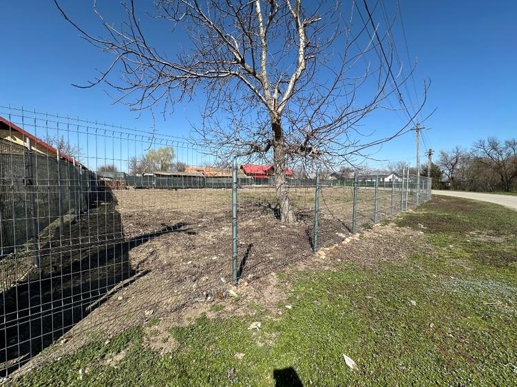 Teren de vânzare în Dumbrava – Direct Proprietar - 1