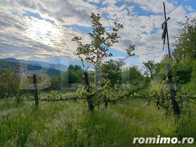 Conac boieresc, 4ha de teren ?i cladire pretabila pentru Agropensiune, zona ?ard - 3