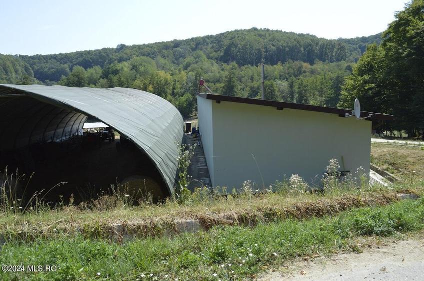 Bogati - Glimbocel, ferma zoo, cladiri autorizate DSV, teren 8766 mp! - 14