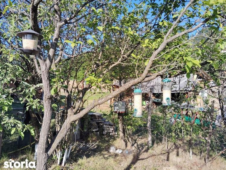 De vanzare casa ?i teren cu o suprafata de 13000 mp, 52.000 euro - 10