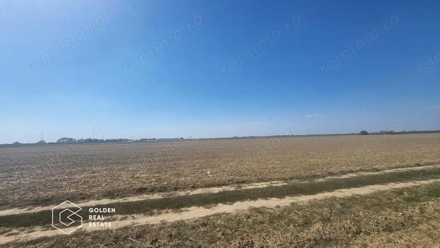 Teren Mosnita Noua, 11600 mp - 2