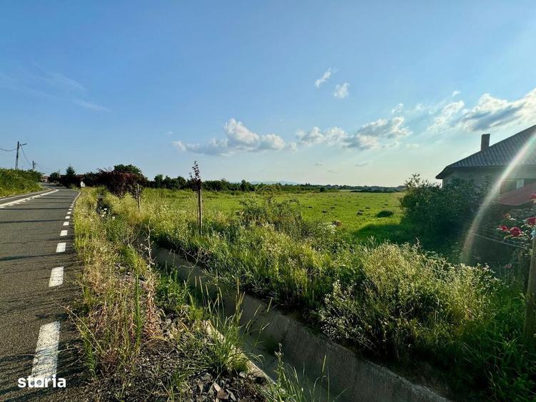 Oferta! Teren Intravilan Seini 5250MP - 1