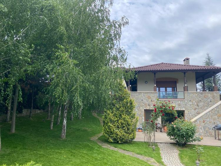 Mogosoaia,vila robusta cu vedere spectaculoasa catre lac,palat,parc,1750mp teren - 31