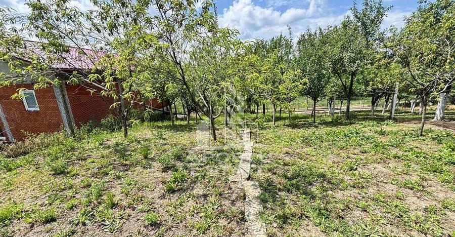 Casa spatioasa, teren 1348 mp, Giarmata - 9