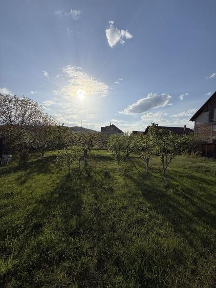 De inchiriat - str Fermelor ( vis a vis Brico Depot - Penny). Pretabil afacere - 1
