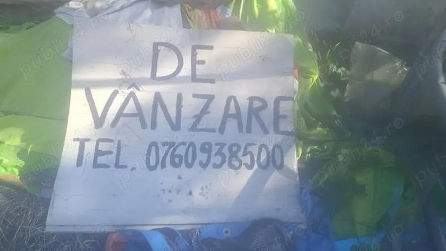 Vand casa cu anexe ?i teren 8900 mp - 5