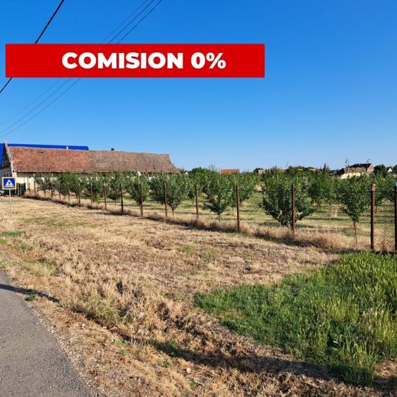 Teren cu livada si Casa veche in Șandra - 1