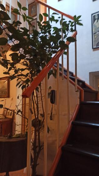 Drumul Sarii - Razoare - 4