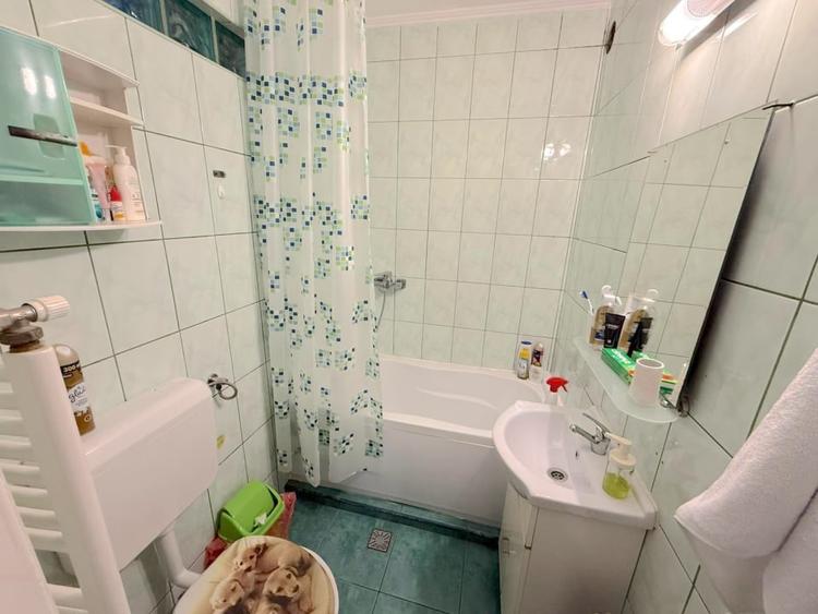 Vanzare Vila P+1 zona Grand Arena | suprafata totala 270mp - 38