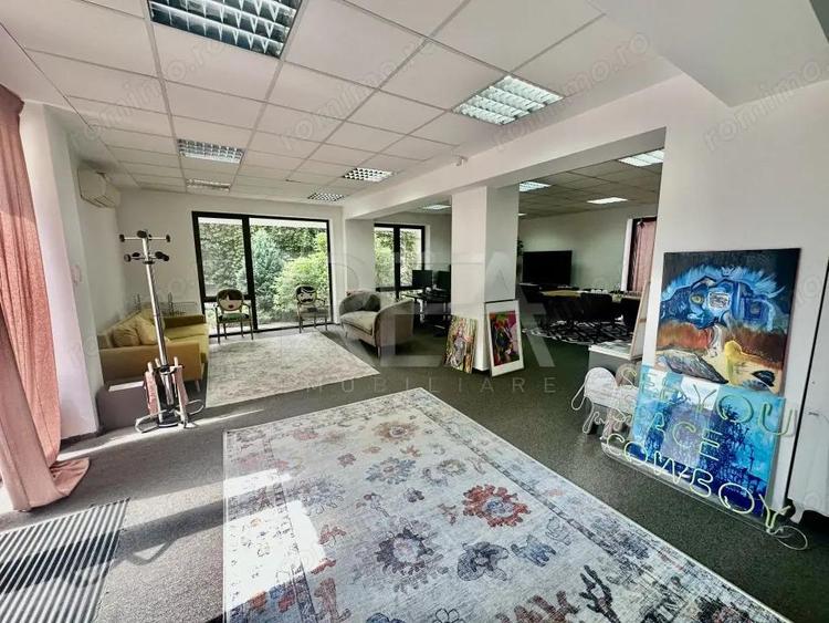 Birouri Zona Centrala-Popa Tatu - 2