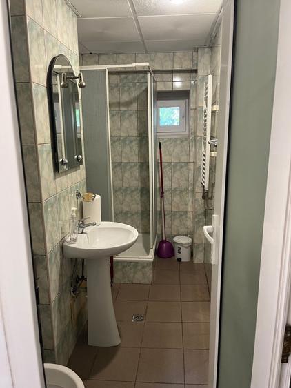 Vanzare apartament 3 cam la parter cu balcon stradal zona Parc Sebastian sect 5 - 5