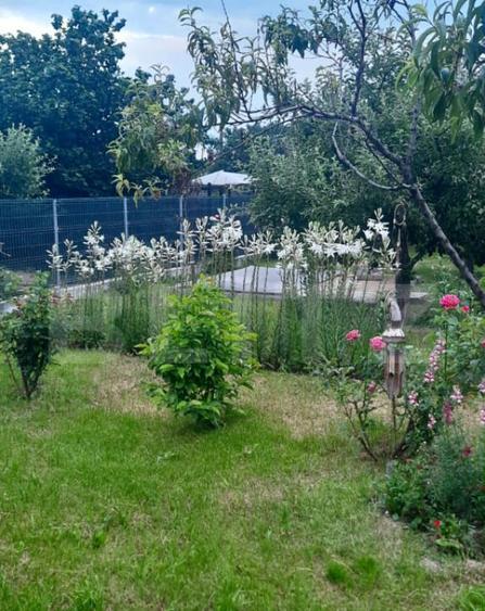 Vila cu Teren Generos si Livada La Sos. Principala Targovi? - 8