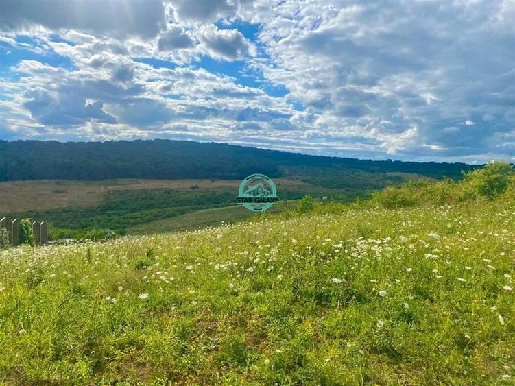 Vand teren intravilan cu suprafata 3300 mp in Livezeni - 2