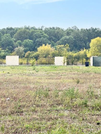 Oportunitate Eden Forest - 4