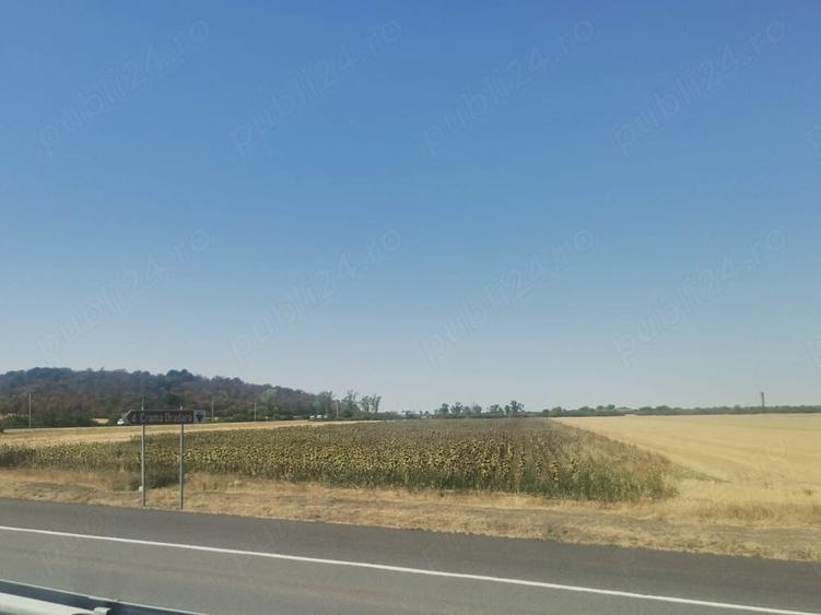 Teren de 22500 mp, în Central