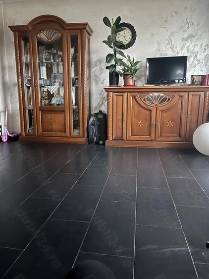 Casa individuala, 9.65 ari teren, zona Profi Sfantu Ilie - 2