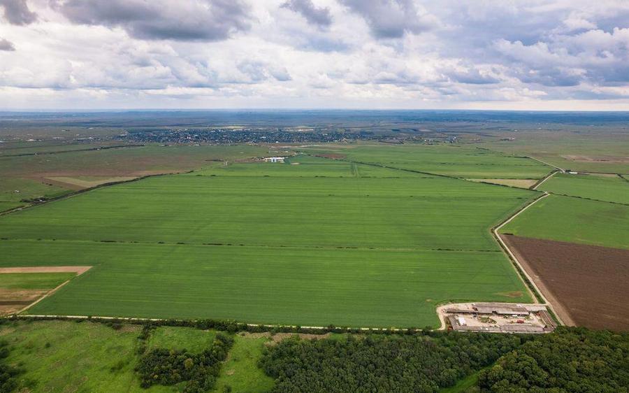 Teren arabil de 1299 hectare in Ia?i - 2