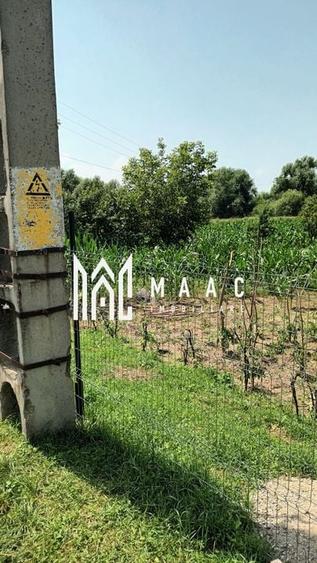 Vand teren intravilan | 1.638 mp | Bungard - 4