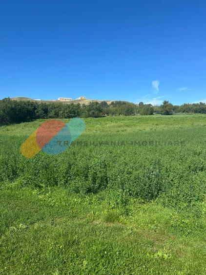 Teren intravilan 2550mp in Sopor - 3