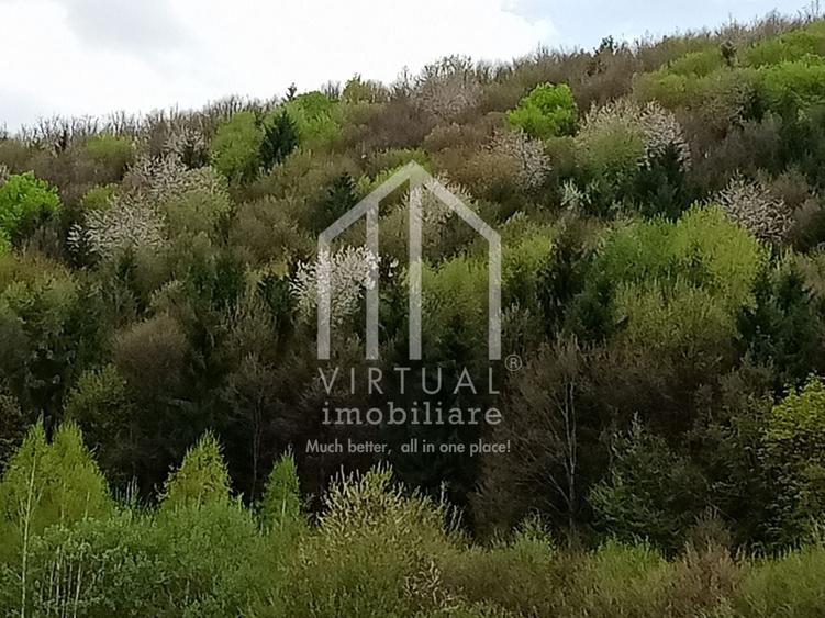 Teren intravilan de vanzare in Tocile, 3862 mp, priveliste spre padure - 4