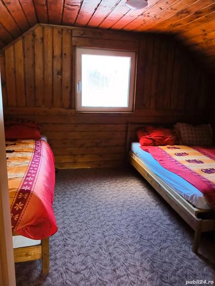 Vand cabana Arieseni - zona centrala - 7