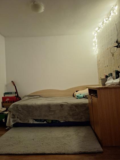 Chitila Casa Individuala 4 Camere - 4