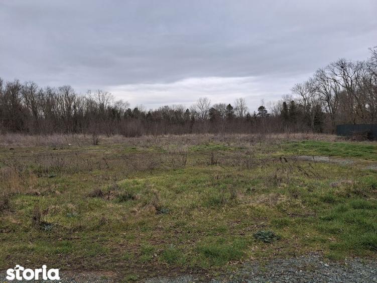 Neptun teren intravilan construibil 1750 mp - 5