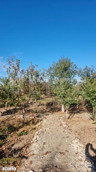 Casa-VILA deosebita ,mobilata plus toate facilitatile - 3