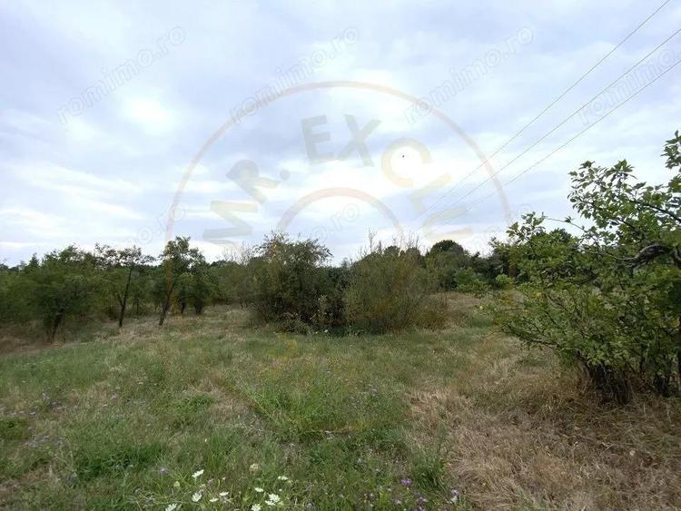 Teren intravilan 1.765 mp in Poiana Lacului, AG - 2