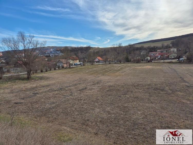 Vanzare 6336 mp teren parcelabil in Ciugud - Hapria - 1