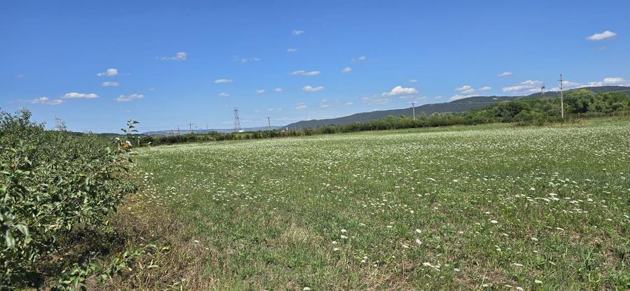 Teren Construcții intravilan de 23020 mp, în Răscruci