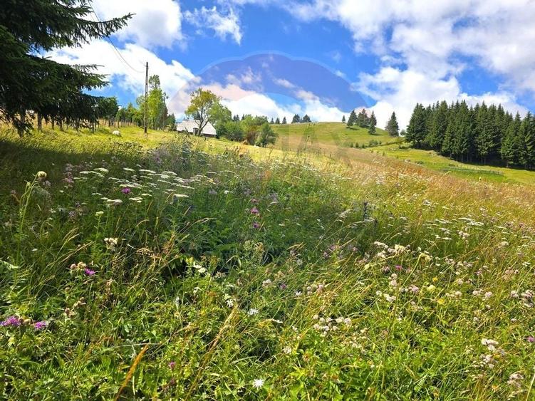 Teren de vis în Fundata 1934mp sau 3868mp, la înălțimea sufletului tău - 17