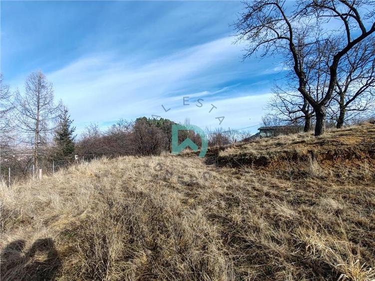 Teren intravilan de vanzare  Sacele - 9