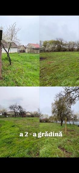 Casă + teren 2319 mp în centrul satului Sacoșu Mare, aproape de Lugoj - 10