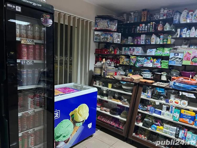 PROPRIETAR, Vand casa + 1800 mp teren + afacere la cheie - 9