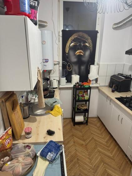 4 Camere | Bd Regina Elisabeta | Parcul Cismigiu | - 11