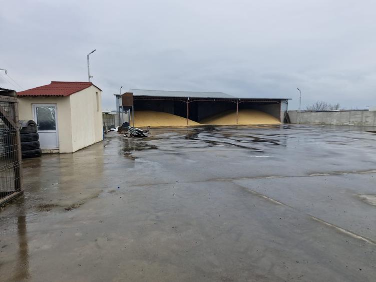 EXCLUSIVITATE! Afacere - Depozit cereale - Lumina-380.000 euro (Cod E8) - 1