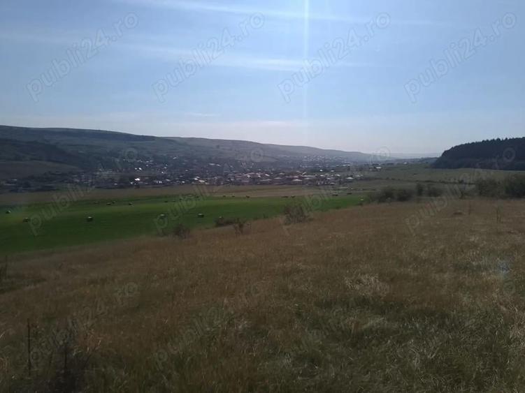 Chinteni 40 euro mp - 6