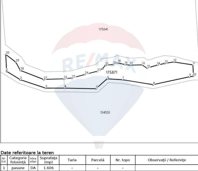 Teren intravilan, 56000 mp, Poiana Brașov - 11