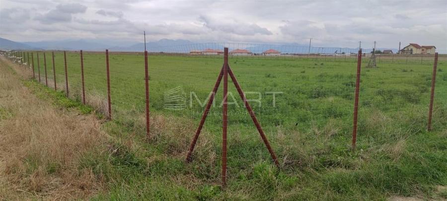 Teren  intravilan cu PUZ 30.000 mp Prejmer - 4