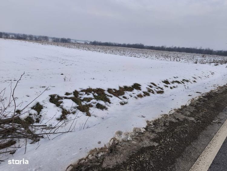 Teren 6000mp, 30 ml deschidere la DN 2H, Horodnic de Jos, Radauti - 1