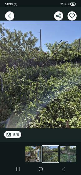 Vind urgent casa batrineasca CERTESTI - 2