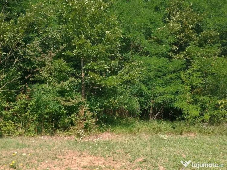 Teren pentru cabana 1084mp - 4