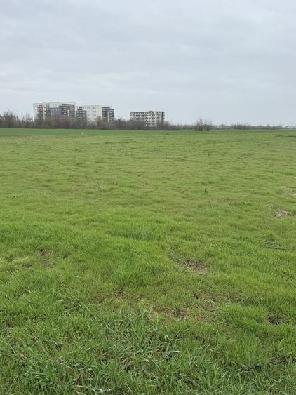 Teren zona Hipodrom 3000 mp - 5