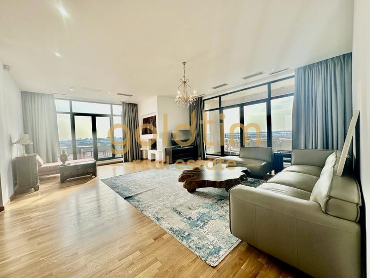 Penthouse spectaculos 280mp/Terasă 370mp/Vedere Pădurea Băneasa/Iancu Nicolae - 4