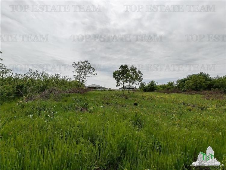 Teren Balotesti - Central - 3